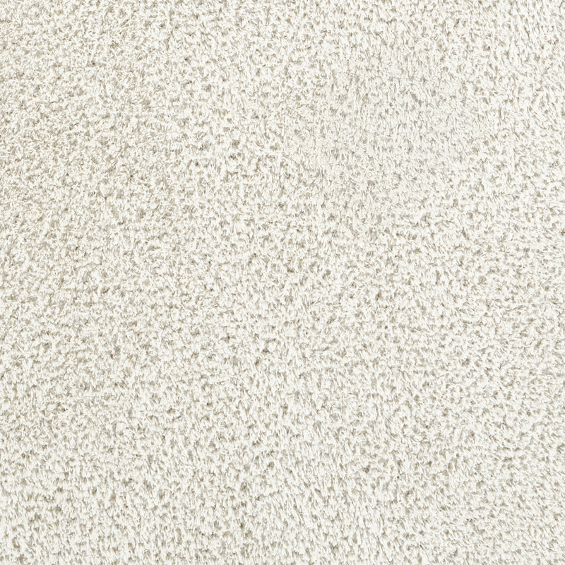 Blannie Machine Tufted Area Rug, Rectangle 200 x 275 cm