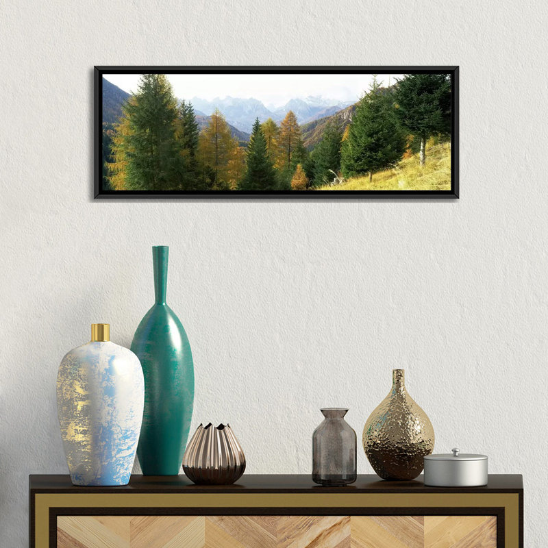 " Larch Trees With A Mountain Range In The Background, Dolomites, Cadore, Province Of Belluno, Veneto, Italy " by Panoramic Images