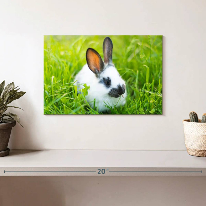 Brampt herbe grignotant le lapin, H 8 po x l 12 po