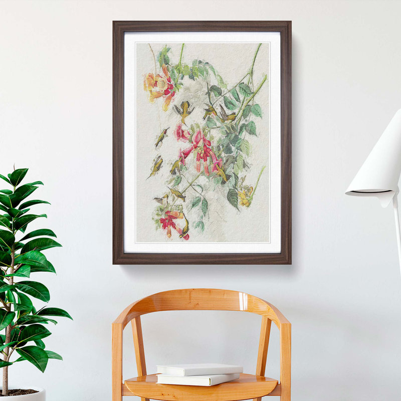 Ruby-Throated Hummingbirds by John James Audubon - Picture Frame Painting Print, Walnut, 76cm H x 50cm W x 2cm D