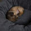 Round Pet Bed-75221197-75221200