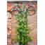 Roseland 195cm H x 109cm W Steel