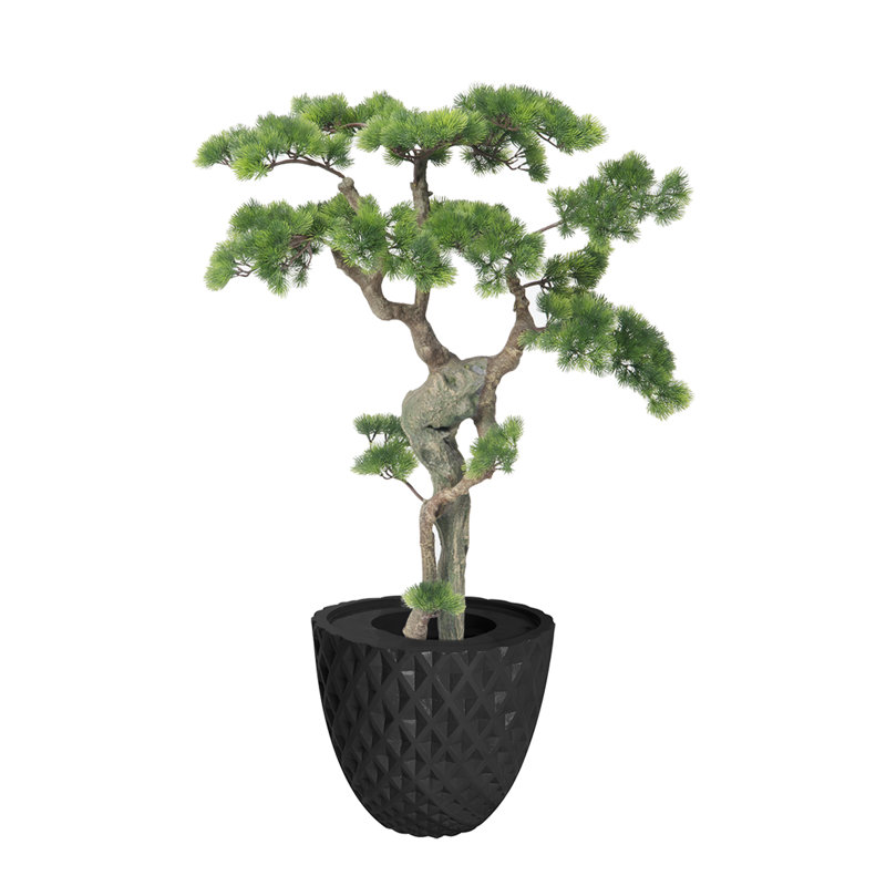 Bonsaï de beauté 49,6 po H-touch