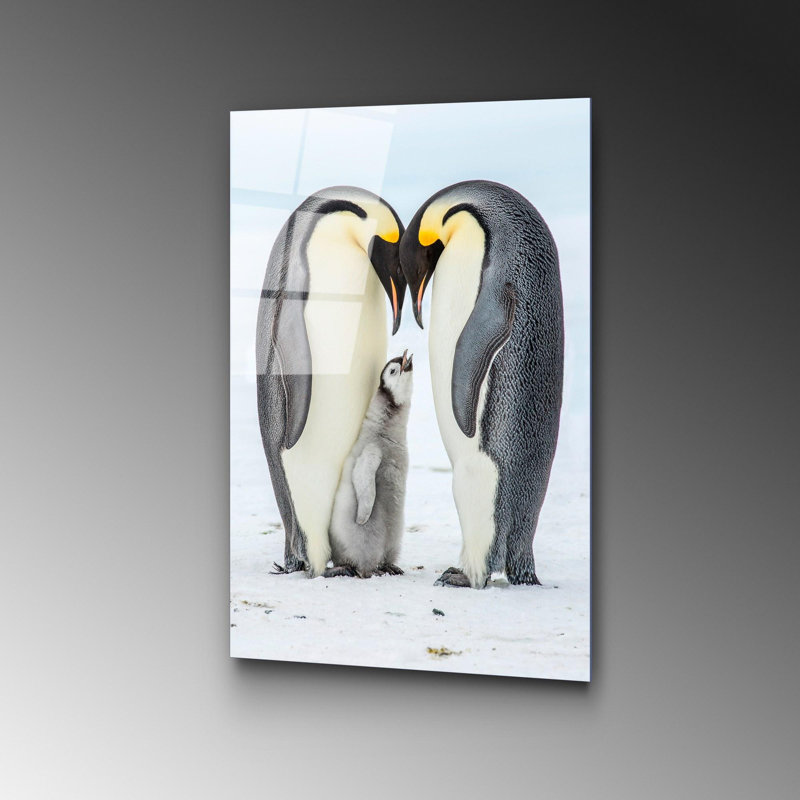 Boze Print on Glass