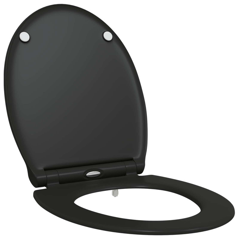Anthracite Plastic Standard Adjustable Armrests Toilet Seat, Black
