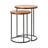 Alecsis End Table