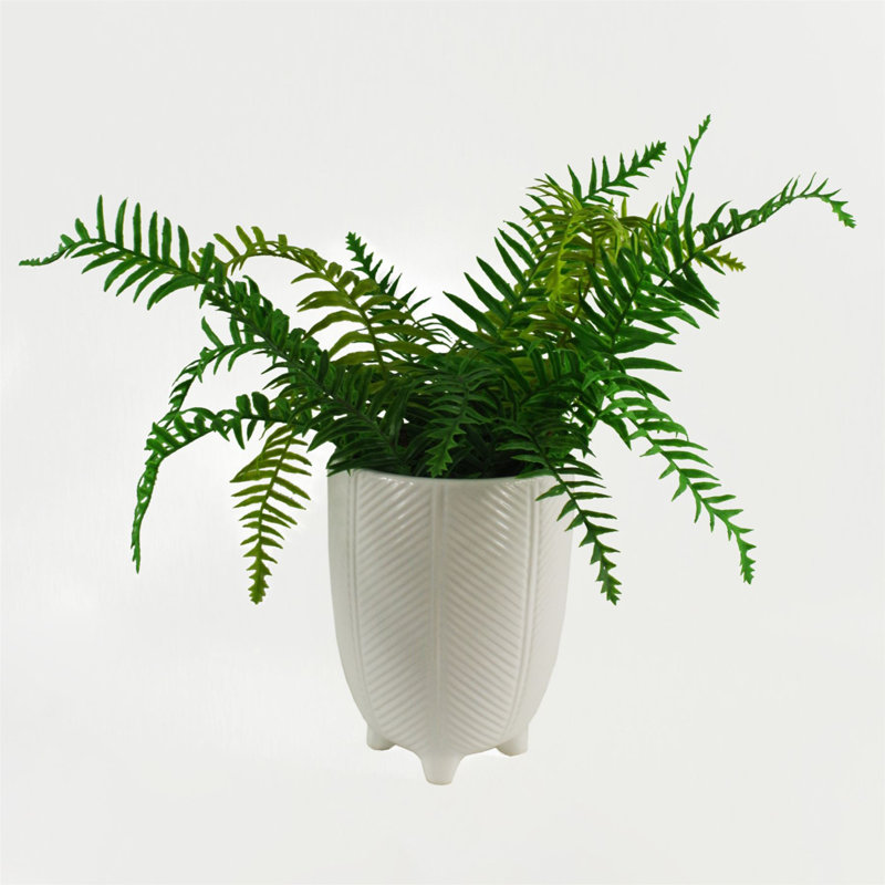Abberbury Handmade Ceramic Cachepot, White