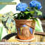 Andreiana Pot Planter