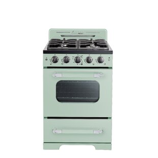 Premium Levella 24 Electric Range with 4 Coil Burners and 2.6 Cu. ft. Oven Capacity in Stainless