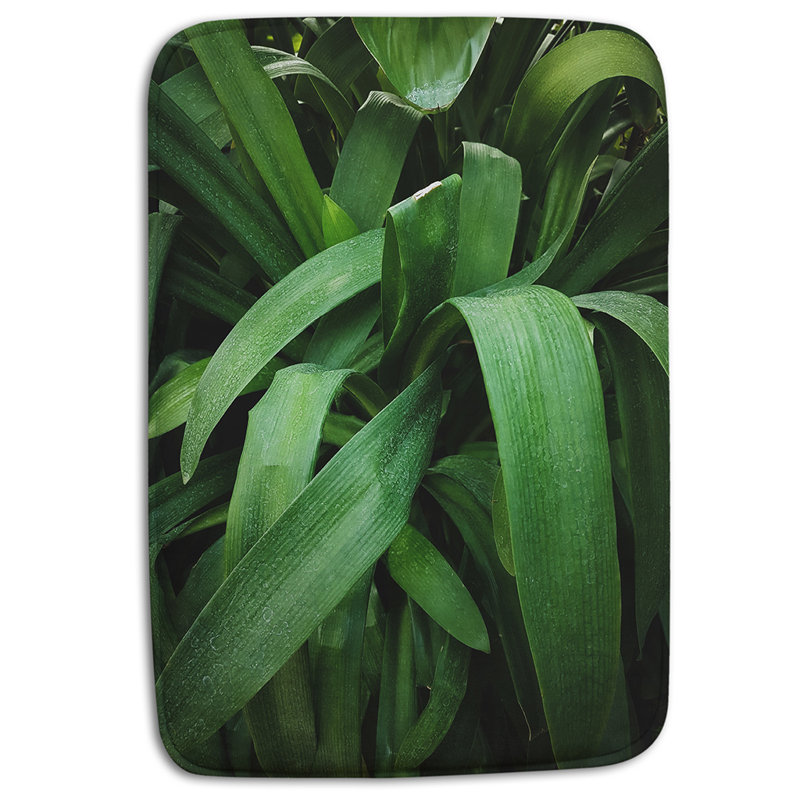 Doreathea Non-Slip Bath Rug
