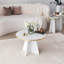 Table basse-10510159