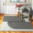 Shaniya Striped Indoor Rug-1540388852