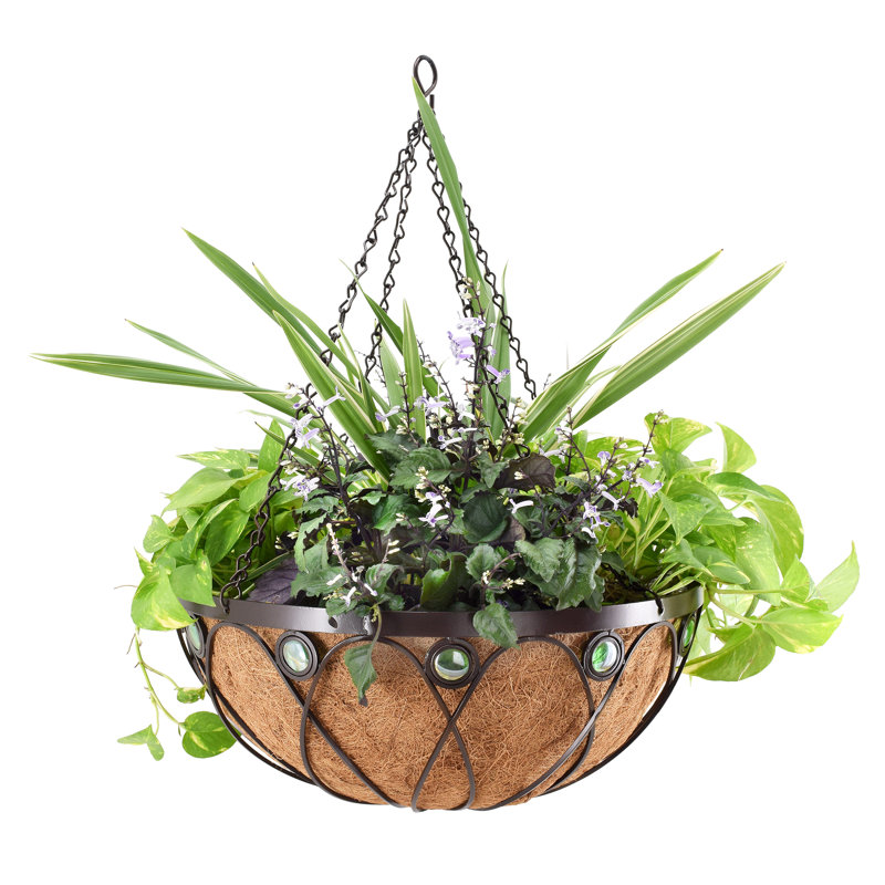 Pot à fleurs suspendu en métal Rodden, H 3,78 po x l 20,47 po x P 20,5 po
