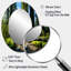 Miroir mural Redwood Giants Tree Forest II-121134532
