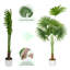 Anharika Faux Fan Palm Tree Plant-747657895