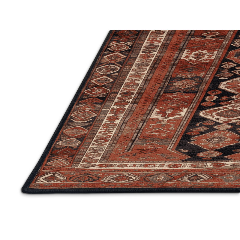 Machine Washable Turkish Brown Area Rug, Rectangle 2' x 3'