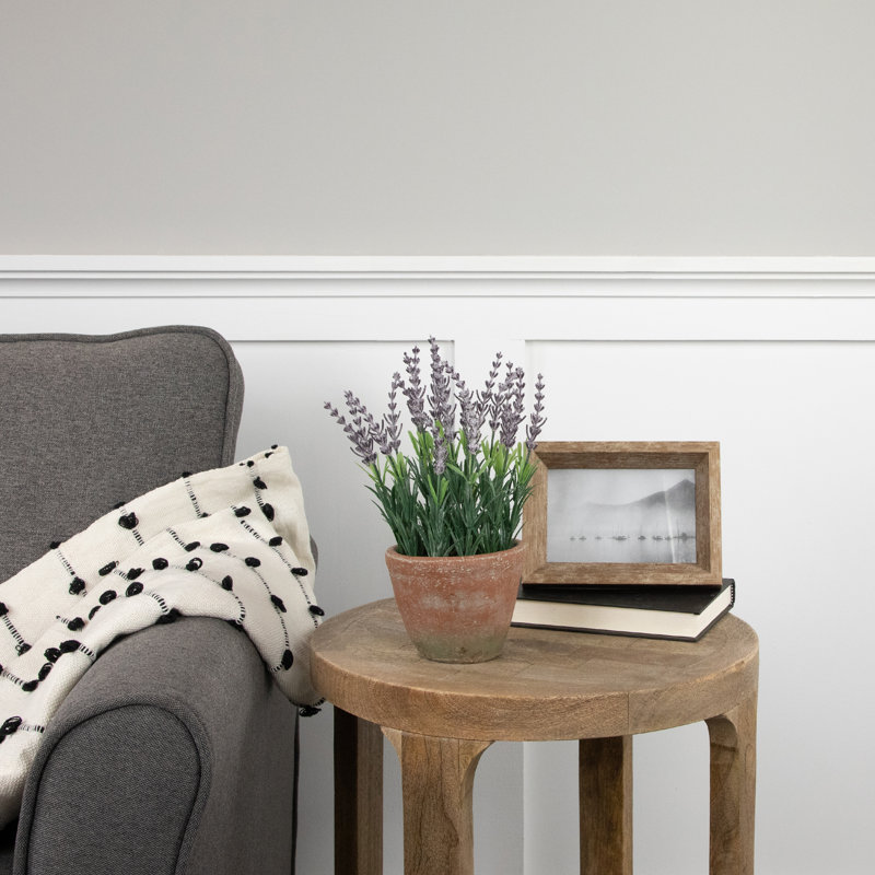 10 plantes