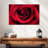 Harnek Droplets On Red Rose-108909281