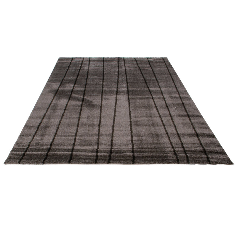 Decoste Geometric Area Rug, Rectangle 160 x 230cm