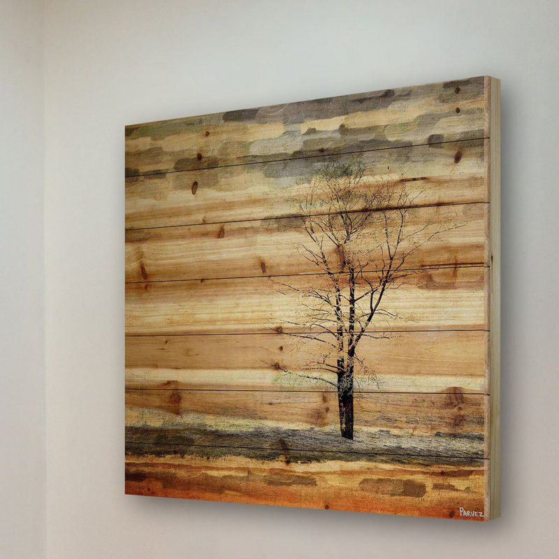 «Landscape & Nature Tree Stands Alone» par Parvez Taj - impression sur bois, H 12 po x l 12 po x p 1,5 po