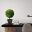 53 cm H Faux Boxwood Topiary Plant in Plastic Pot