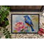 Tapis d'entrée extérieur antidérapant Rahming Bluebird-429705972