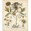 «Red Barrel Studio® Besler, Basilius», reproduction d'art sur toile tendue: Ivory Pivoines II-1271527579