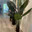 Customer photo 3 of 3