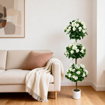 150cm Plant