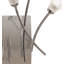 Cottone Wallchiere