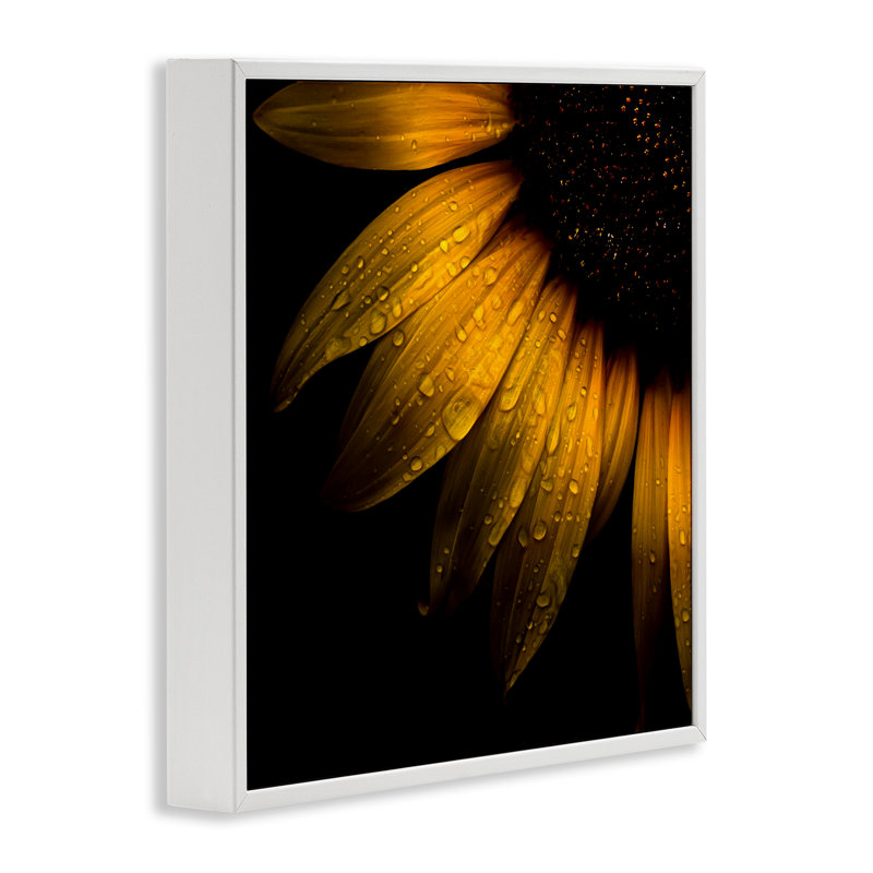 Tournesol avec gouttelettes encadrées, estampe numérique, design par Brian Carson, H 17 po x l 17 po