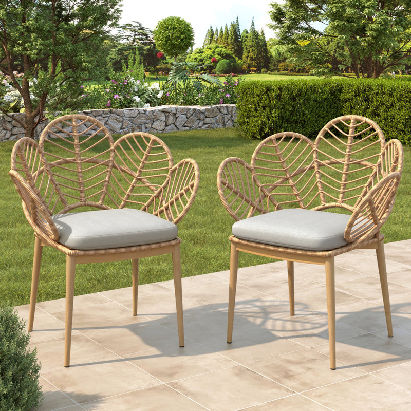 Ensemble de 2 chaises d'extérieur en forme de paon en osier Kirk