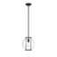 Luminaire suspendu d'extérieur 1 lumière H 10,75 po Fosdick-1564764591