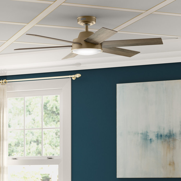 Donatella 52" 6 - Blade Ceiling Fan with Lights and Remote