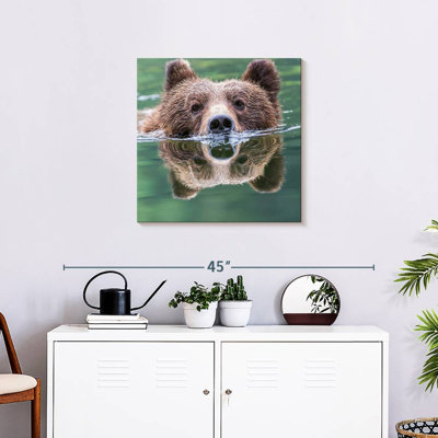 Brampt Grizzly Bear Swimming Reflection