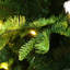 Sapin de Noël artificiel vert 6 pi