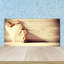 Nunes 50cm W x 100cm L Glass Peel and Stick Panel
