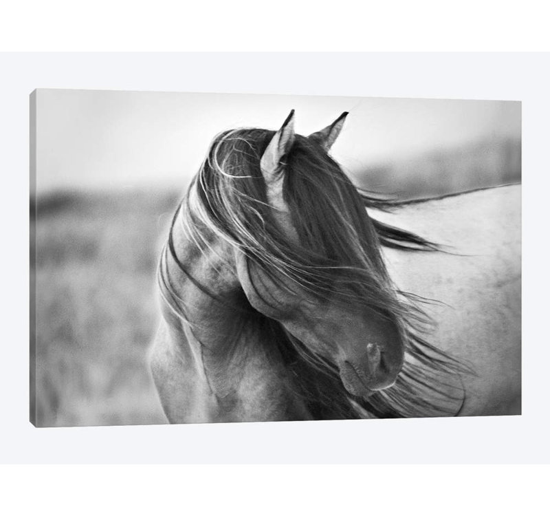 Tony Stromberg - Wrapped Canvas Print, 101.6 cm H x 66.04 cm W x 1.91 cm D, Wrapped Canvas