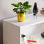 Modern Manufactured Wood Bookcase-32413963-123754590