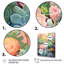 «Chervil Green Succulents Dreams», reproduction sur toile-100201544-100201549