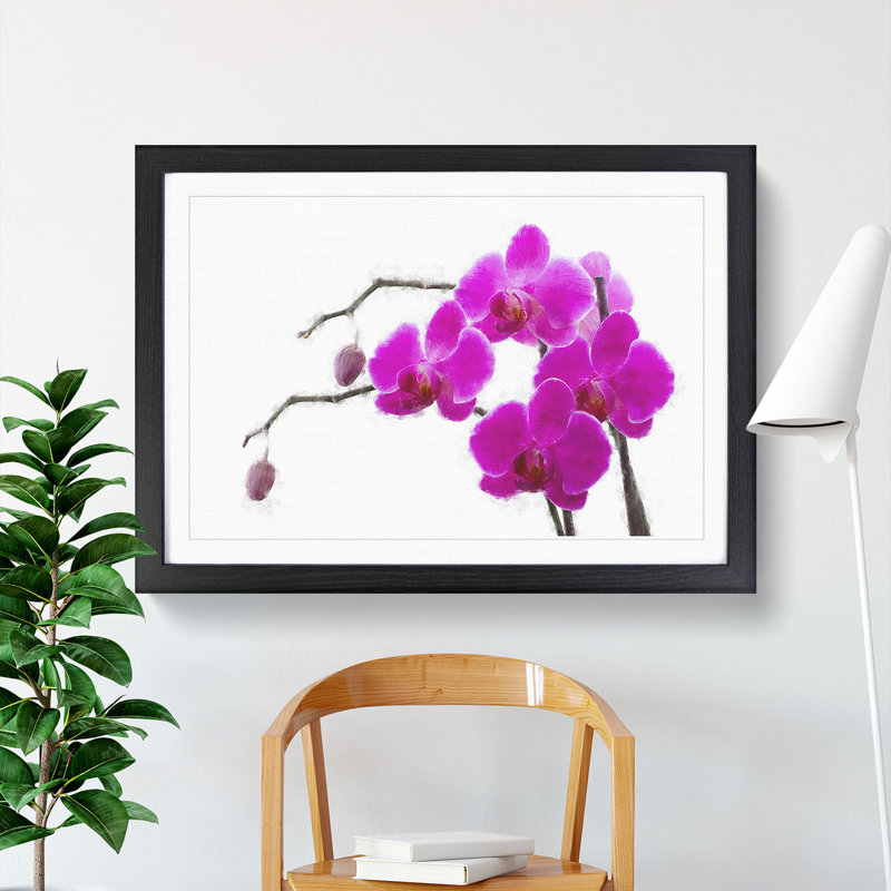 Orchid Flowers Vol.2 - Picture Frame Painting, Black Framed, 36cm H x 48cm W x 2cm D