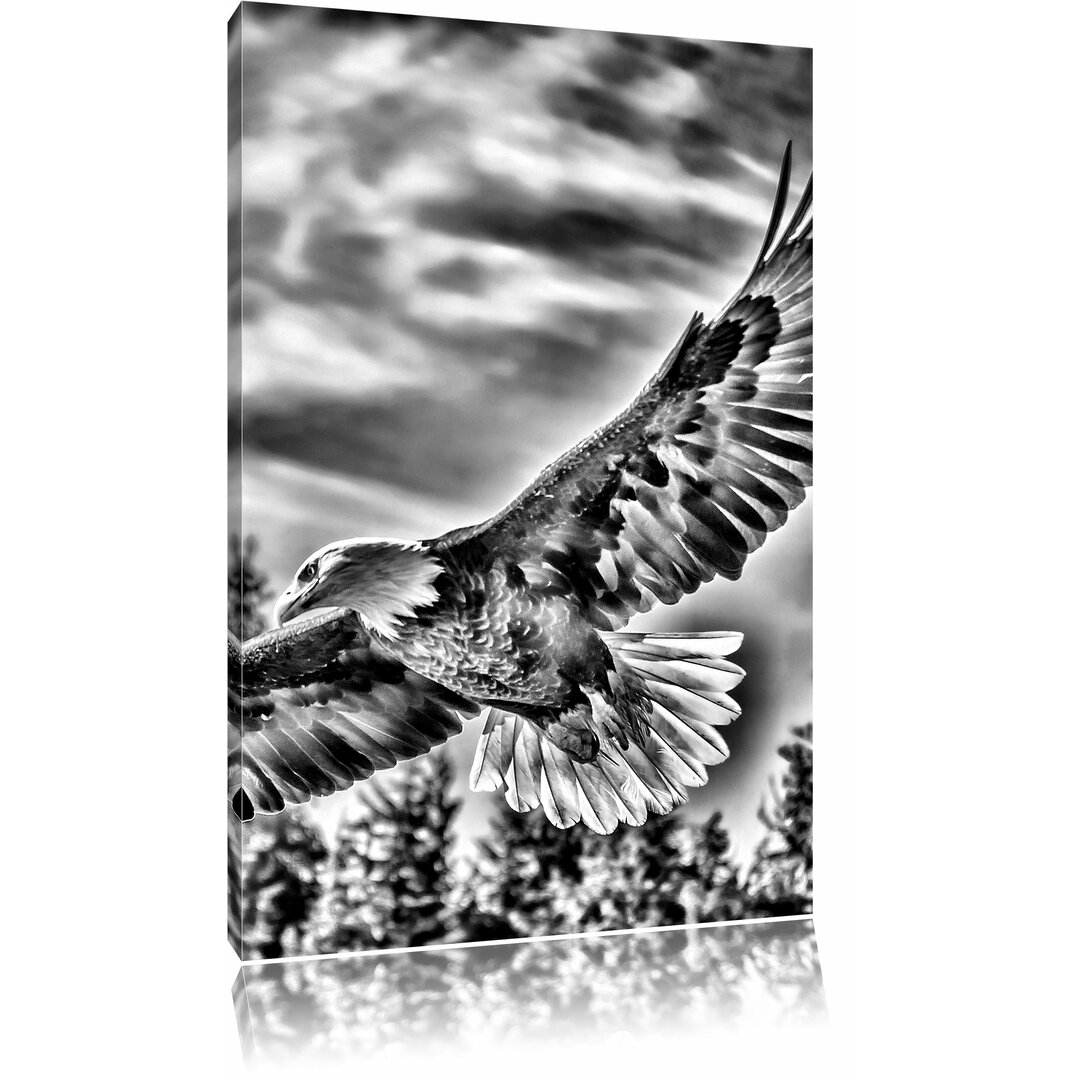 Leinwandbild Adler in Monochrom