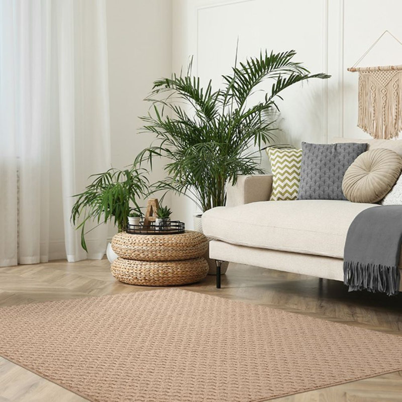 Indoor Rug, Rectangle 7'6" x 9'6"