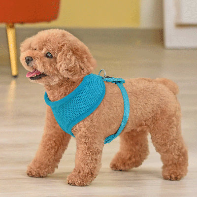 Harnais pour chien en maille, harnais anti-traction ajustable et rembourré avec anneau en D et boucle pour chiens