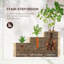 Wood Raised Garden Bed
