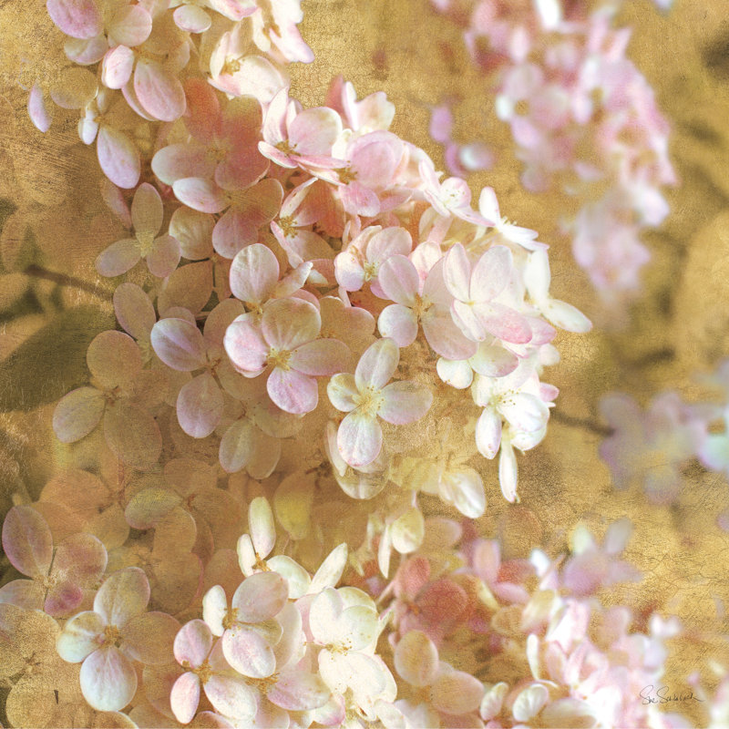 «Hydrangea Gilded I» par Sue Schlabach, reproduction de photo sur toile tendue, H 12 po x l 12 po