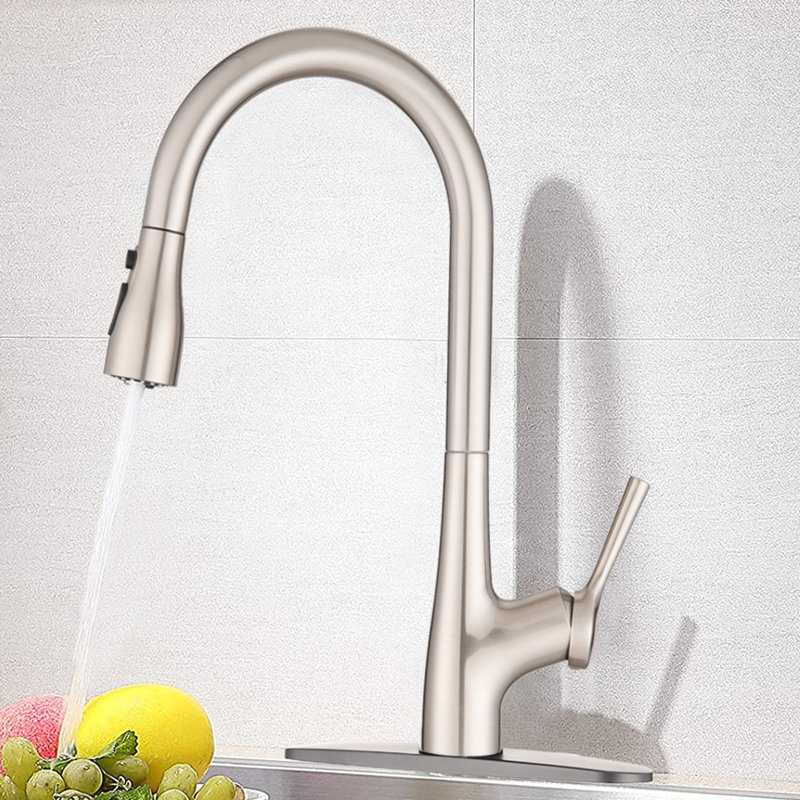 ESHOO Pull Out Kitchen Faucet