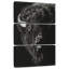 Scratchboard Brampt Wild II-108533048