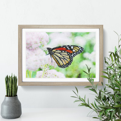 Monarch Butterfly - Picture Frame Graphic Art
