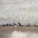 Bucci Hand Woven Area Rug